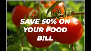 Save 50% on your food bill