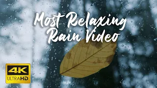 Most Relaxing 4K ASMR Monsoon Rain Video। Sound Study Sleep Relaxation। village rain in Bangladesh