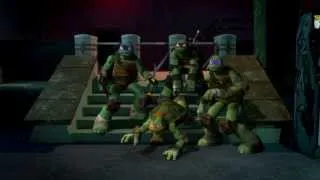 TMNT~How did you get so hurt