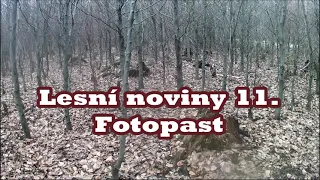 Lesní noviny 11. Fotopast ,  Forest newspaper 11. camera trap, Periódico forestal 11. Cámara trampa