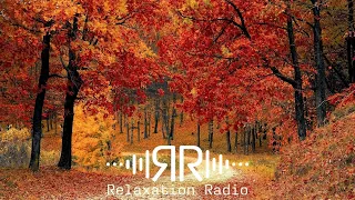 Fall Folk Compilation - Autumn-Fall 2021