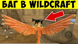 BUG at WILDCRAFT! HOW TO DEFEAT THE BOSS OF ANUBIS IN EGYPT