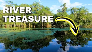 Lost TREASURES and FOSSILS found on Florida River Diving Adventure
