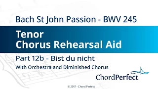 Bach's St John Passion Part 12b - Bist du nicht - Tenor Chorus Rehearsal Aid