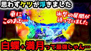 "満月＋白蝶"最強の組み合わせが出現した結果…【PAギンギラパラダイス 夢幻カーニバル 99ver.】《ぱちりす日記》甘デジ 海物語 ギンパラ