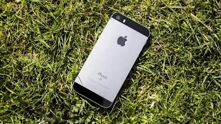 Квест - как найти в лесу iPhone и LG Q6a