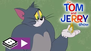 Tom i Jerry Show | Magiczny ząb | Cartoonito