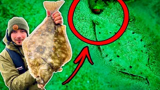 UNIQUE UNDERWATER STRIKES OF FLATFISH IN NORWAY | Team Galant