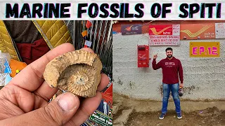 Found a 'Marine Fossil' in Spiti || World's Highest Post Office || Exploring Hikkim