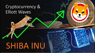 Shiba Inu Coin Offering a Buy Opportunity Before Leaping 11x Soon!