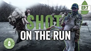 BRCC Alaska Bear Hunt Ep. 7: An Amazing Shot on the Run