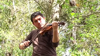 2 Himnos en violín