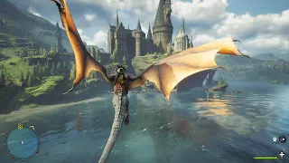 Taming a dragon in Hogwarts Legacy..