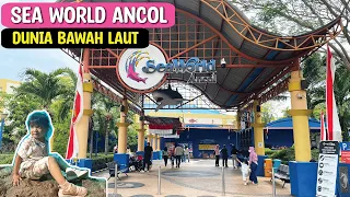 SEA WORLD ANCOL | ANEKA IKAN DUNIA BAWAH LAUT | Taman Impian Jaya Ancol - Jakarta Utara Part 1