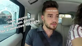 Liam Payne being Liam Payne for 2 minutes straight