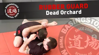 Rubber Guard || Dead Orchard