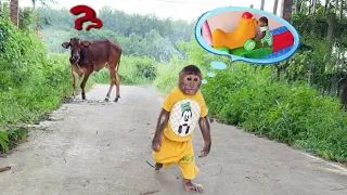 Super funny! CUTIS Farmer busy playing forgot to take cow home