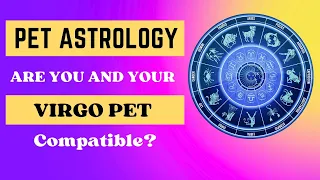PET ASTROLOGY - VIRGO - Are You And Your Virgo Pet Compatible?