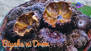 Seafood-venture sa Southern Leyte! | Biyahe ni Drew