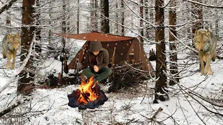 Extreme -35° Solo Camping 4 Days | Snowstorm, Winter Camping Hot Tent | Alone with My Dog in Forest