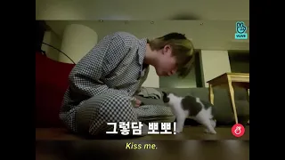 [TAEMIN] (Eng) I’m just forced to adopt cat called TAEM.lol😂