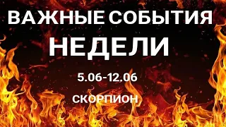 ♏ СКОРПИОН ♏Scorpio. Таро прогноз на неделю (6.06-12.06). Онлайн таро гадание на важные события.