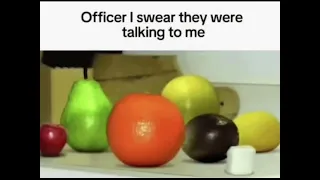 officer i swear they were talking to me (Bonnie Lullaby Version)