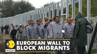 Lithuania builds laser walls against migrants | European Union | World News | International News