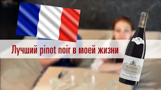 Pommard - пино нуар, который мы заслужили | Обзор Pinot Noir из бургундии