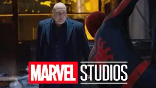 BREAKING! Daredevil Kingpin Netflix MCU Connection Revealed | Same Characters?