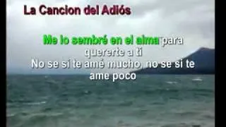 la cancion del adios karaoke los nocheros.avi