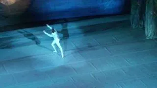 Swan Lake ballet, Siegfried´s solo in Act 1