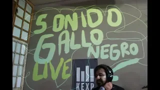 Sonido Gallo Negro - Full Performance (Live on KEXP)