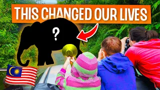 Malaysia has CHANGED our FAMILY FOREVER! 🇲🇾 | Full Time Travel Family Malaysia