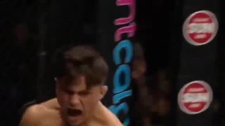 Best of MMA KO 2016 HD