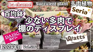 516{多肉植物} 👉多肉量が少なくても作れるお手軽な寄せ植え💘多肉棚のディスプレイに最適【百均】【ダイソー】【セリア】【Watts】【ba多肉】【baチャンネル】【Succulent】