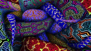 ayahuasca serpents shipibo patterns HD 1080p