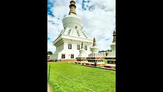 Buddha temple l trip to Buddha temple  #shorts #youtubeshorts #shortsvideo #viral #viralvideo