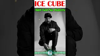 90S HIP HOP MIX - Ice Cube - Aint Got No Haters 💖💖💖 - Greatest Hits Songs 2024 n.05 #icecube