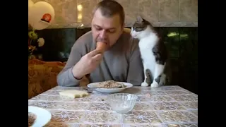 Скорее накорми кота, хозяин, когда он просит ! ( Rather, feed the cat, the owner, when he asks! )