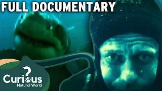 Ocean Predators VS Humans | Wildlife Documentary | Human Prey | Curious?: Natural World