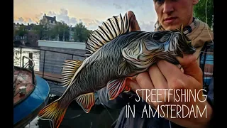 Was fängt beim STREETFISHING? Ein Tag ANGELN in AMSTERDAM (FULL HD)
