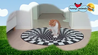 Cats react when they see an optical illusion carpet #HD