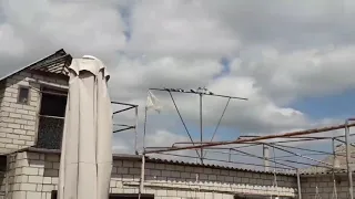 Полёт молодых николаевских голубей