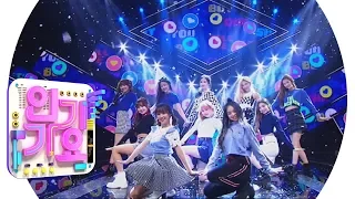 Cherry Bullet - Q & A @ Popular Inkigayo 20190217