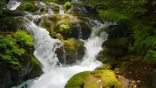 Чистая вода 🌹 Музыка - Сергей Чекалин