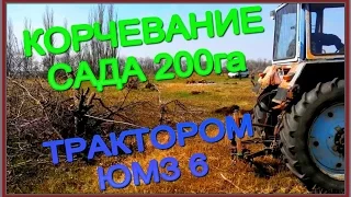 ЮМЗ 6 КОРЧЕВАНИЕ  САДА Ч.1