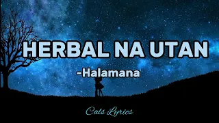 HERBAL NA UTAN : Rudy Tagsip of Halamana (Lyrics)