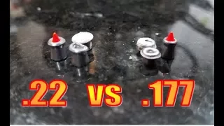 177 or 22 Pellet Airgun? Which Caliber is BEST?