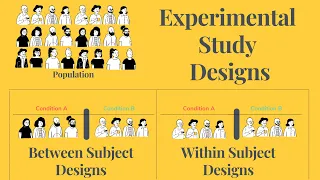 Experimental Study Designs - Between & Within Subjects Design (and their Advantages & Disadvantages)